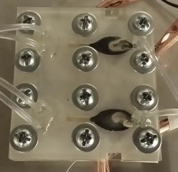 Water quality monitoring sensor